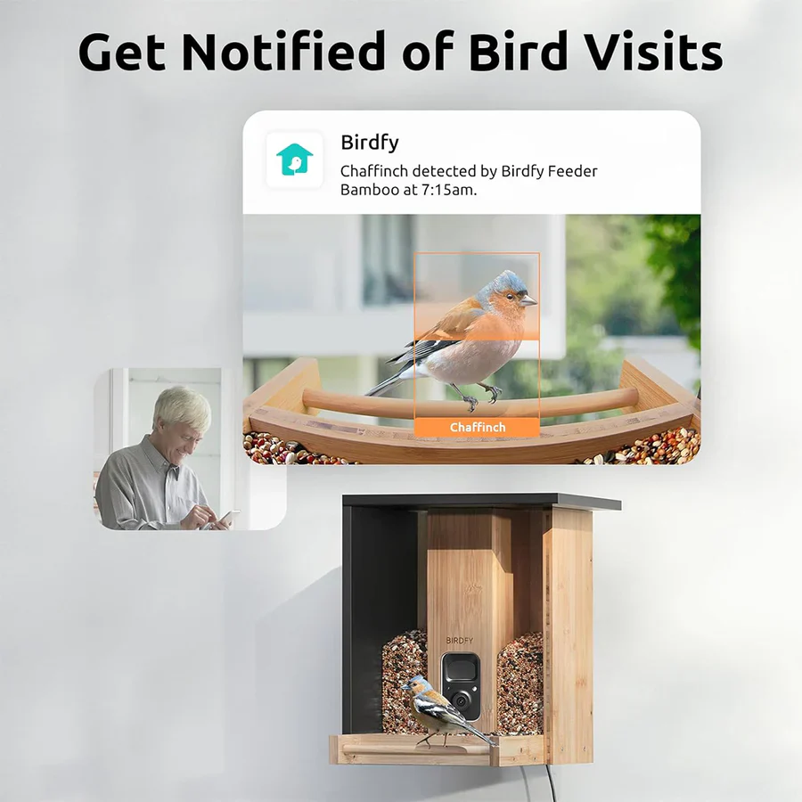 Birdfy Feeder Bamboo Mini Bird Feeder With Camera - Image 4