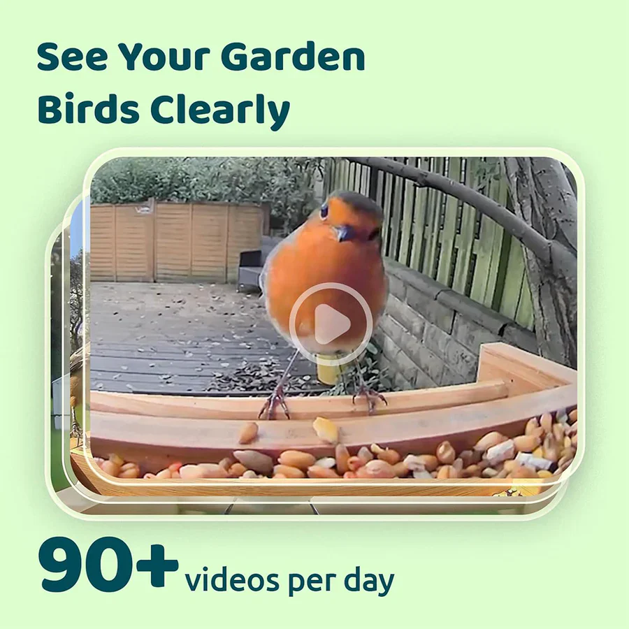 Birdfy Feeder Bamboo Mini Bird Feeder With Camera - Image 5