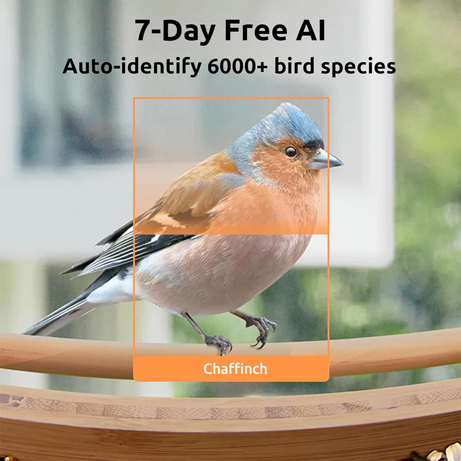 Birdfy Feeder Bamboo Mini Bird Feeder With Camera - Image 7