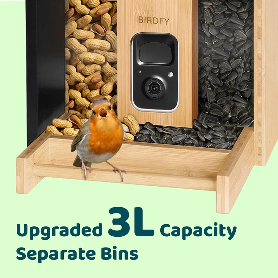 Birdfy Feeder Bamboo Mini Bird Feeder With Camera - Image 8