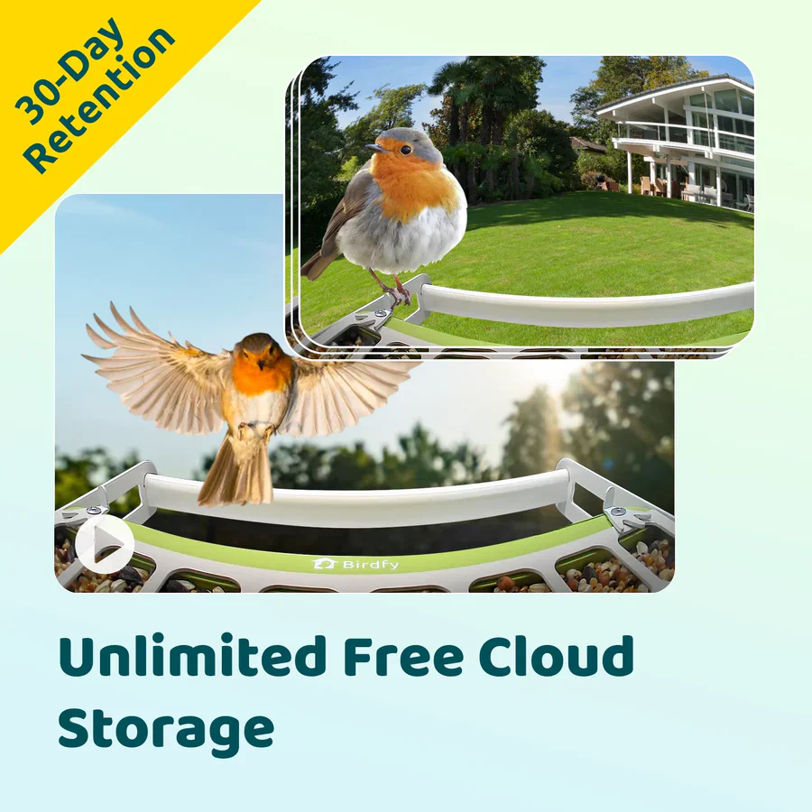 Birdfy Smart Metal Bird Feeder with Camera - Image 10