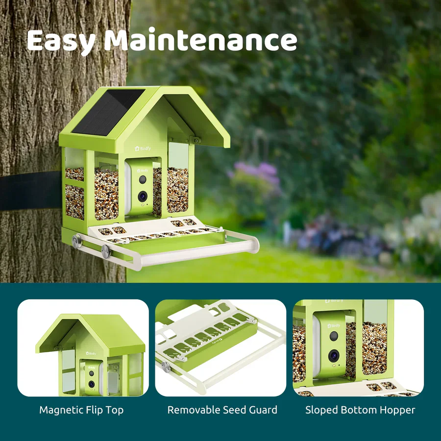 Birdfy Smart Metal Bird Feeder with Camera - Image 3