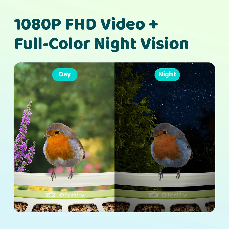 Birdfy Smart Metal Bird Feeder with Camera - Image 7