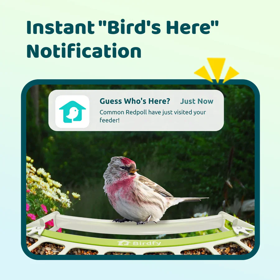 Birdfy Smart Metal Bird Feeder with Camera - Image 8