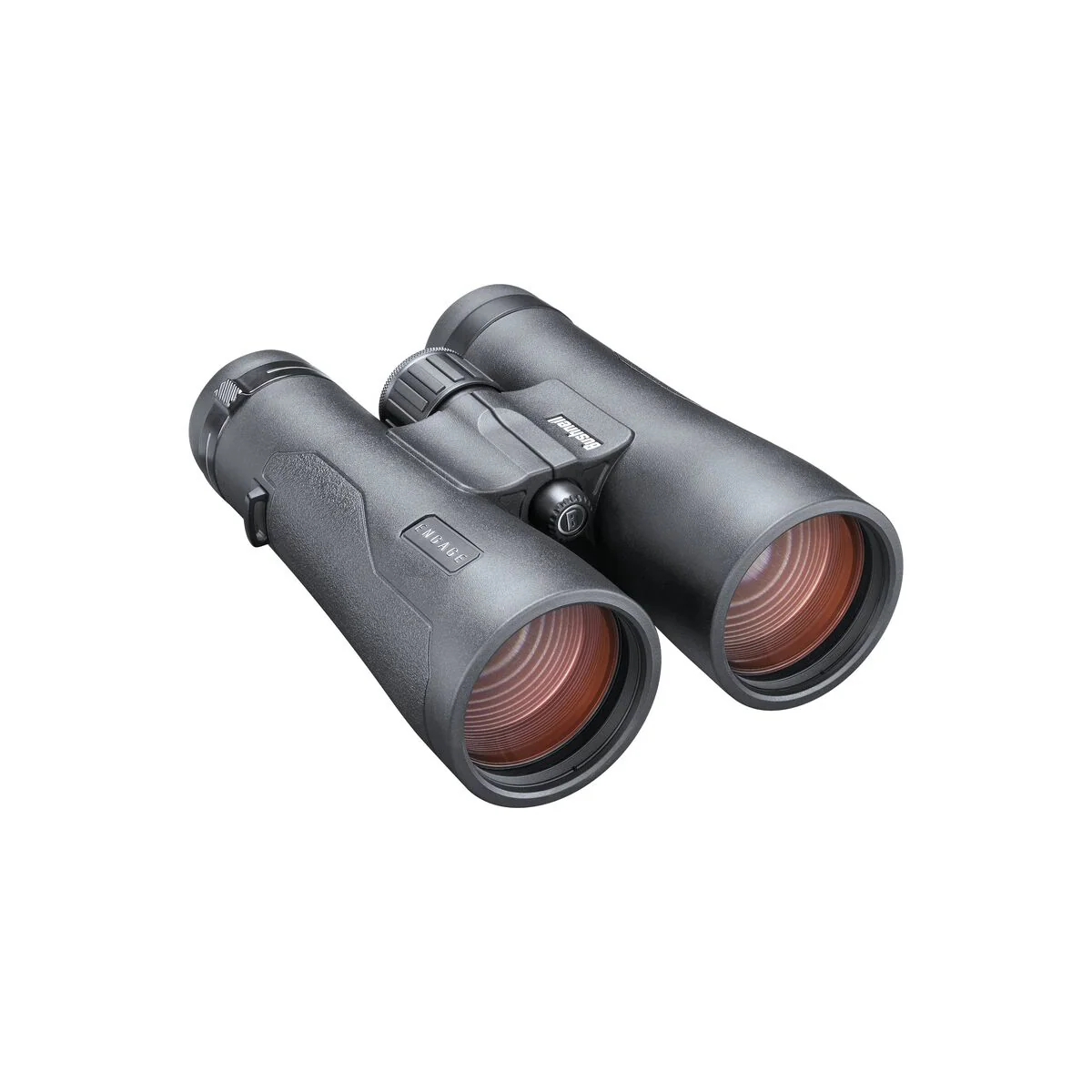 Bushnell Engage DX 12x50 Binoculars - Image 2